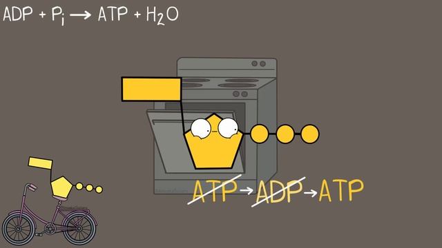 What is ATP? смотреть онлайн