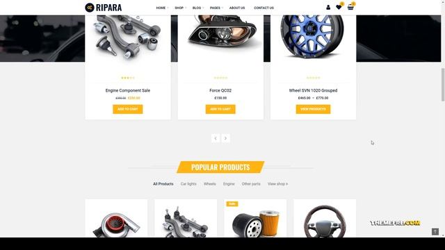 Ripara - Auto Repair and Car WooCommerce WordPress Theme medical cosmetic Build Website смотреть онлайн