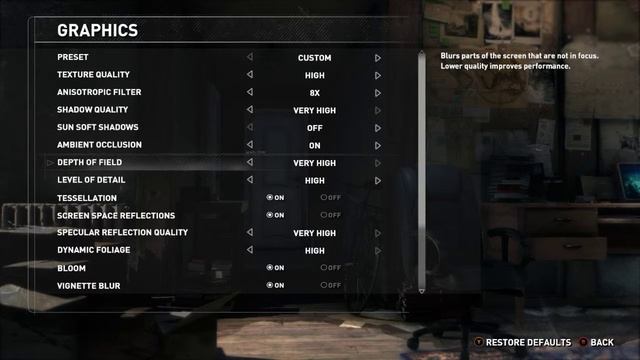 Rise of the Tomb Raider (PC) - Depth of Field bug 1 смотреть онлайн