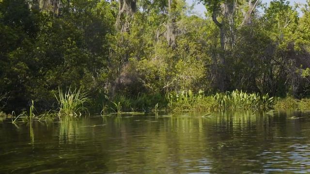 How to Use Your Kayak Motor in the Grass. смотреть онлайн