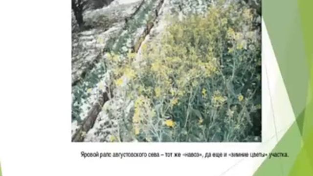 Нова Сфера серия Агро ч 5 Обзор литературы по земледелию смотреть онлайн