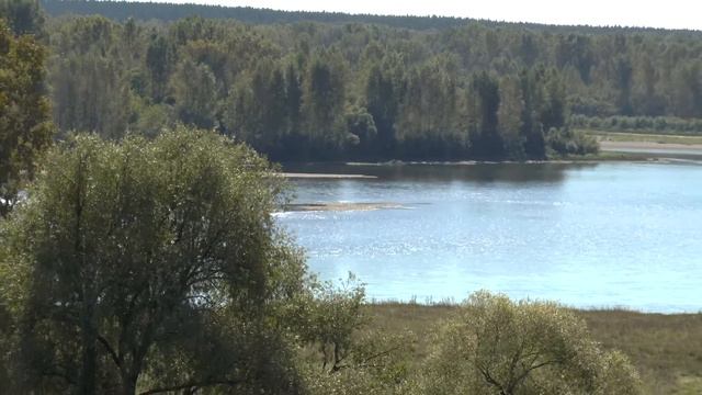 Земля моя - Сибирь муз. Владимира Сенченко смотреть онлайн