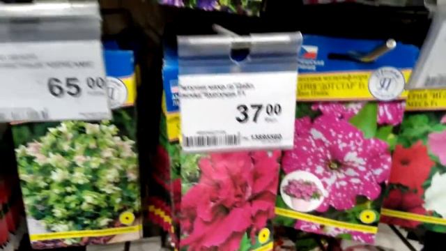 Самые лучшие семена в Леруа Мерлен смотреть онлайн