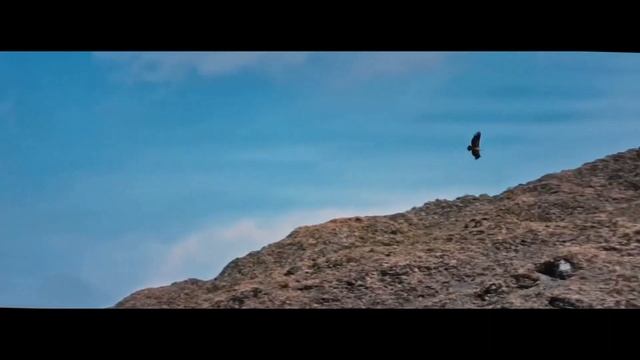 Туристический эндуро ZONGSHEN RX560. Рекламный ролик. смотреть онлайн