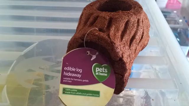 Pet Haul | June 2014 смотреть онлайн