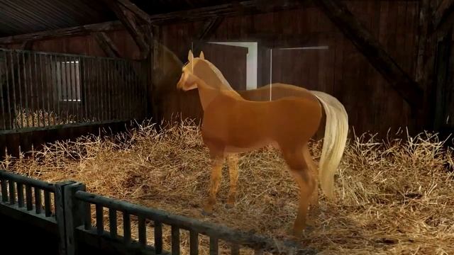 Planet Horse Free video game to download for PC and Mac смотреть онлайн