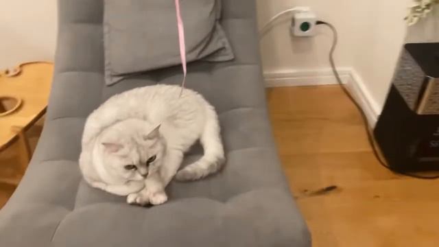 УРА! МОЕЙ ПЛЕМЯННИЦЕ 3 ГОДИКА!? смотреть онлайн