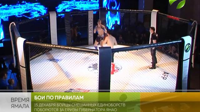 В Салехарде анонсировали всероссийские соревнования по смешанному боевому единоборству смотреть онлайн
