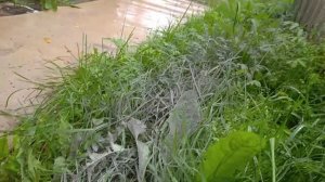 Болгарка с подачей воды на диск. Сырой рез.