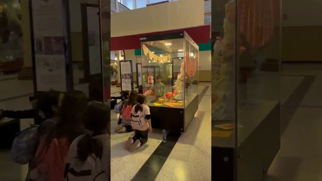 В национальном музее в Сантьяго👀 #shorts