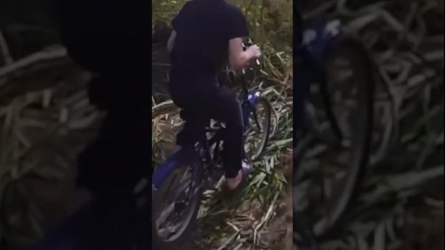Городской велосипед Stern может не только по городу смотреть онлайн