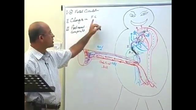 Fetal Circulation | Embryology | Dr Najeeb смотреть онлайн