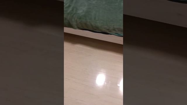 Ламинат вскрыт лаком, поле года эксплуатации. смотреть онлайн