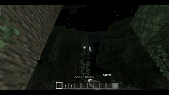 CARA MEMEGANG TORCH DI TANGAN KIRI MCPE 1.17 - SMART TORCH V2 смотреть онлайн