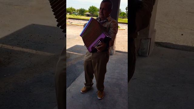 Tocando Accordion смотреть онлайн