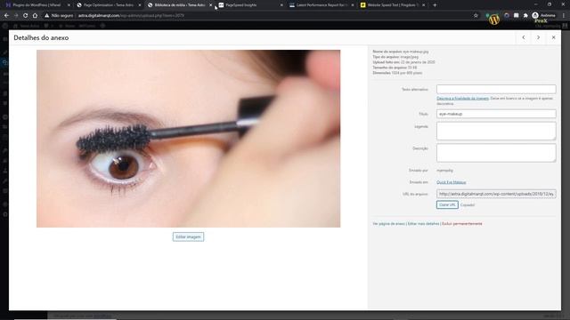 Plugin Lite Speed Cache: Como Deixar Seu Site Turbinado DE UMA VEZ POR TODAS смотреть онлайн