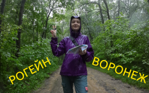 Испытание дождём в лесу