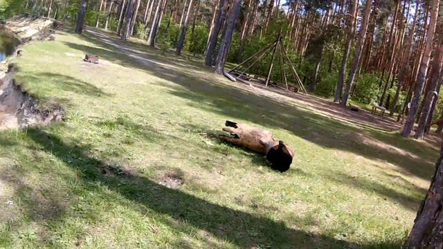 Маршрут Орехово-Покров [9/19] Бетонка - место отдыха у Клязьмы - бетонка смотреть онлайн