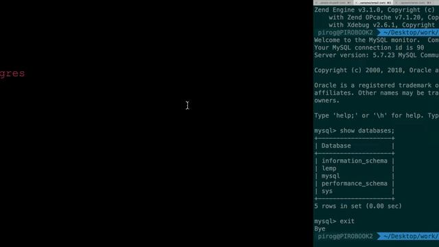 Standardize Your Local Development and CI with Lando смотреть онлайн