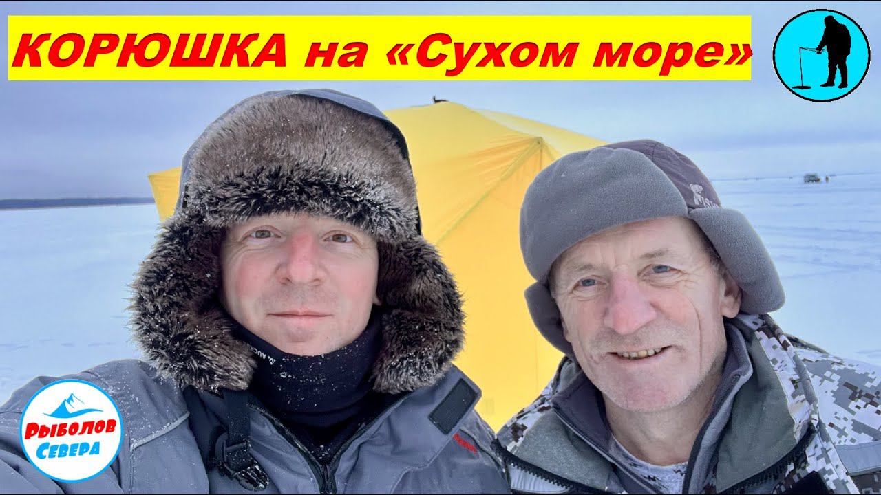 ✅ РЫБАЛКА НА КОРЮХА С ПАПОЙ "Дойка" "Сухое море" #рыболов_севера смотреть онлайн