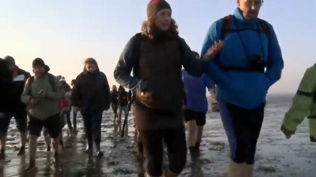 Путешествия по Германии: прогулки ваттам – прибрежной отмели Северного моря смотреть онлайн