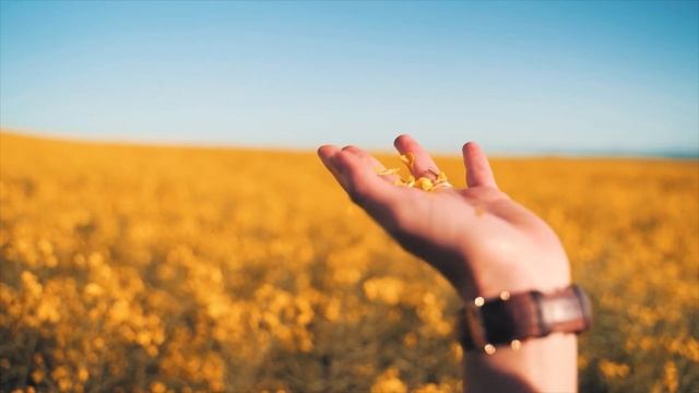 Роман`с - Сергей Зражевский смотреть онлайн