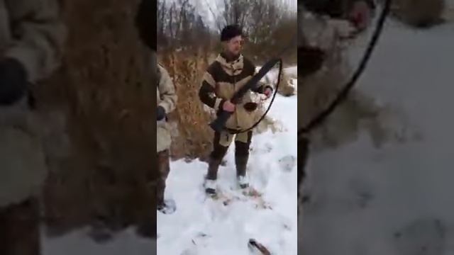 Охота на лису и зайца. Декабрь 2020. На его месте должен был быть я, но не смог поехать! смотреть онлайн