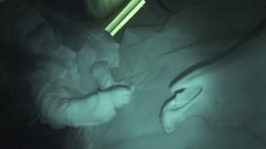 Нашли SCP Череп жестокости! Папа потерял память... СЕКРЕТНАЯ КОМНАТА 4 серия