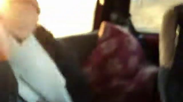 Медведь залез в машину.AVI смотреть онлайн