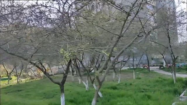 Холодная весна 21 и три года назад смотреть онлайн