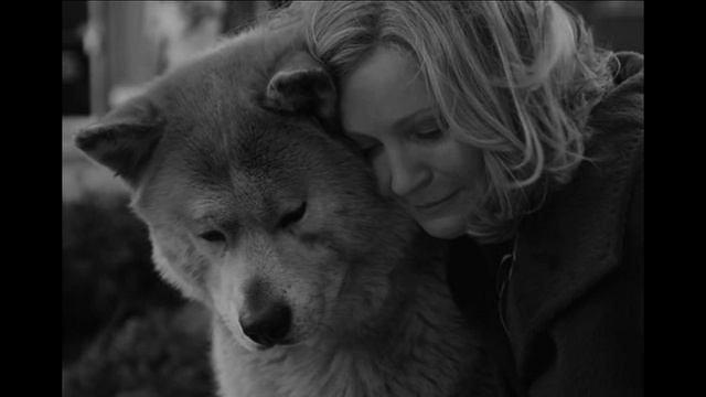 Верный друг – Музыка:Ludovico Einaudi – I giorni (Читает: А. Калякина) смотреть онлайн