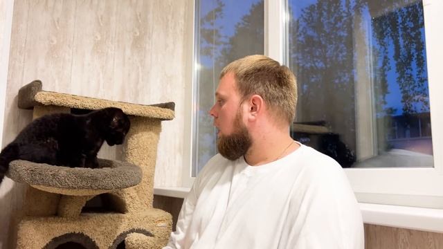 Как у нас ПОЯВИЛАСЬ ПАНТЕРА? История появления черного леопарда у нас/ПАРК ЛЬВОВ ЗЕМЛЯ ПРАЙДА МОСКВ смотреть онлайн