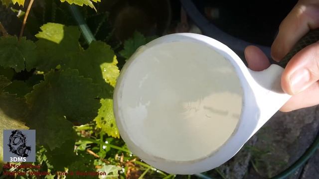 Schauberger Hyperbolic Egg - It works!!! смотреть онлайн