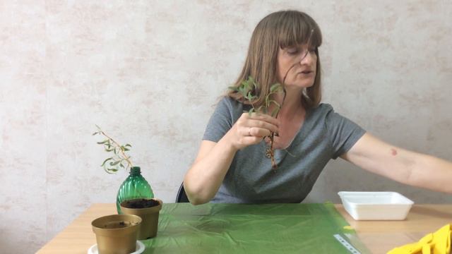 Занятие 2. Мастер класс смотреть онлайн