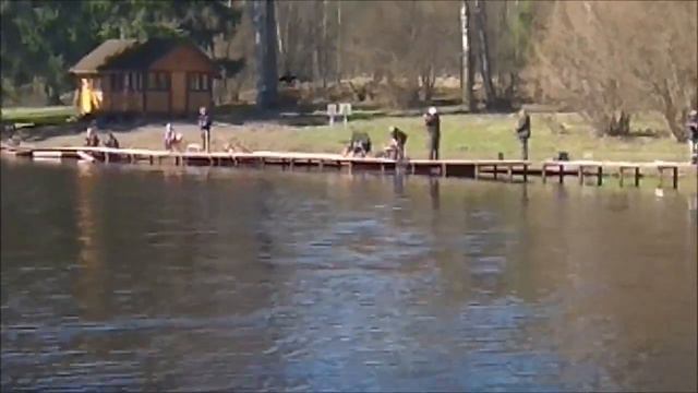 Силиконовые приманки и паста для форели влияют на результат- рыбалка на Верхнем. Клёвое место лосин смотреть онлайн
