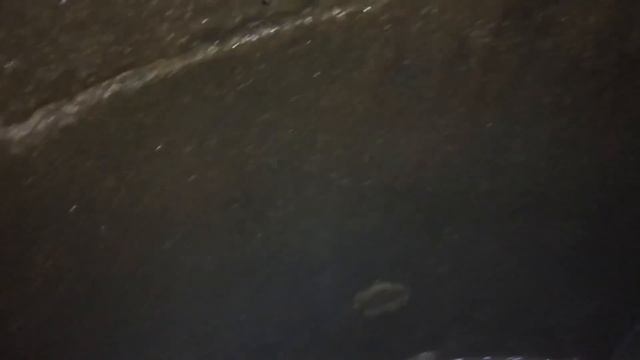 Podkapaev.ru СНТ Кудрино. Обрадовали клиентов, купили участок с колодцем, думали мало воды. смотреть онлайн