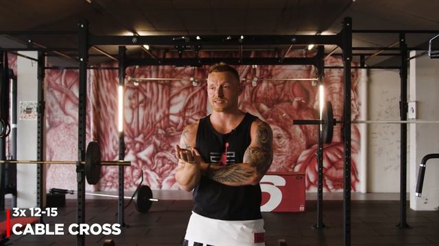 BRUST / TRIZEPS Trainingsplan für Fitnessstudio (Muskelaufbau) смотреть онлайн