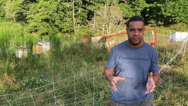 Permaculture Demystified: Your Essential Guide for Beginner Green Thumbs! смотреть онлайн