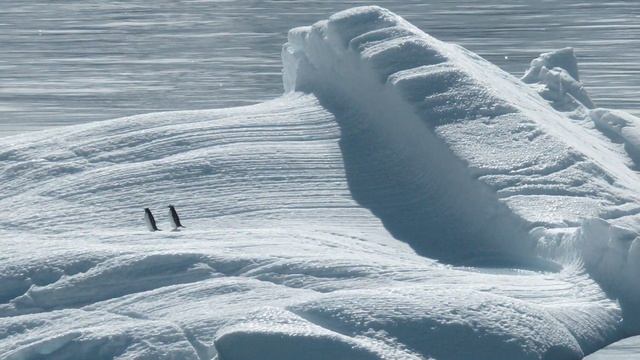 ПОЗДРАВЛЕНИЕ С ДНЕМ ПОЛЯРНИКА (21 МАЯ - ДЕНЬ ПОЛЯРНИКА) смотреть онлайн