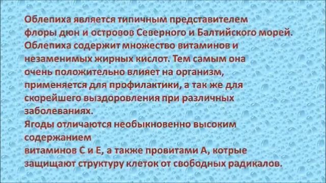Балтийская облепиха смотреть онлайн
