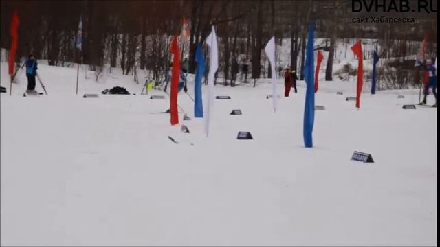 Пятьсот спортсменов поучаствовали в лот-марафоне на призы Юлии Чепаловой смотреть онлайн