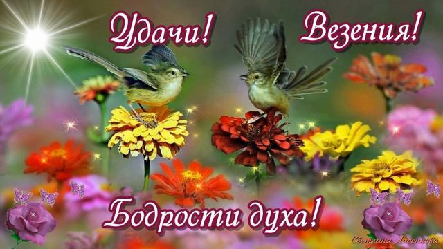 Счастья, здоровья всем людям земли! С Добрым Утром, привет мой лови! смотреть онлайн