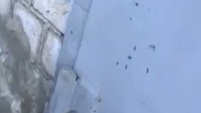 как подготовить шарниры для ворот