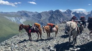 Алтай 2023. Приключение Белорусов в горах! Конный поход по Ороктойской тропе к Кучерлинскому озеру!