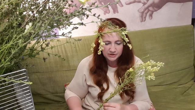 Авантюрист смотреть онлайн