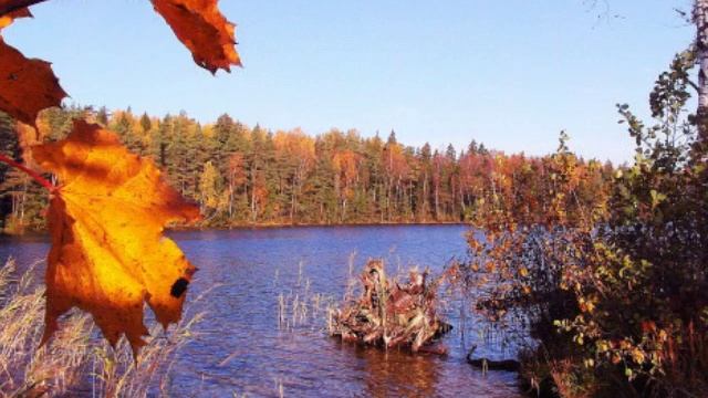 Осень жизни. В. Асмолов. смотреть онлайн