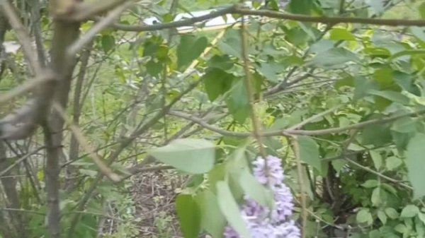 НАПИСАЛ ХАКЕР coolkid?