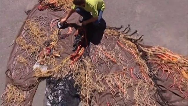 Art Attack - Series 16, Episode 11 (2003)