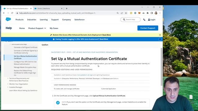 Mulesoft - Make Your Salesforce Connection More Secure With Mutual Authentication (mTLS) смотреть онлайн