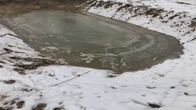 Канада. Жизнь в загородном доме 72. 11 декабря 2020 года